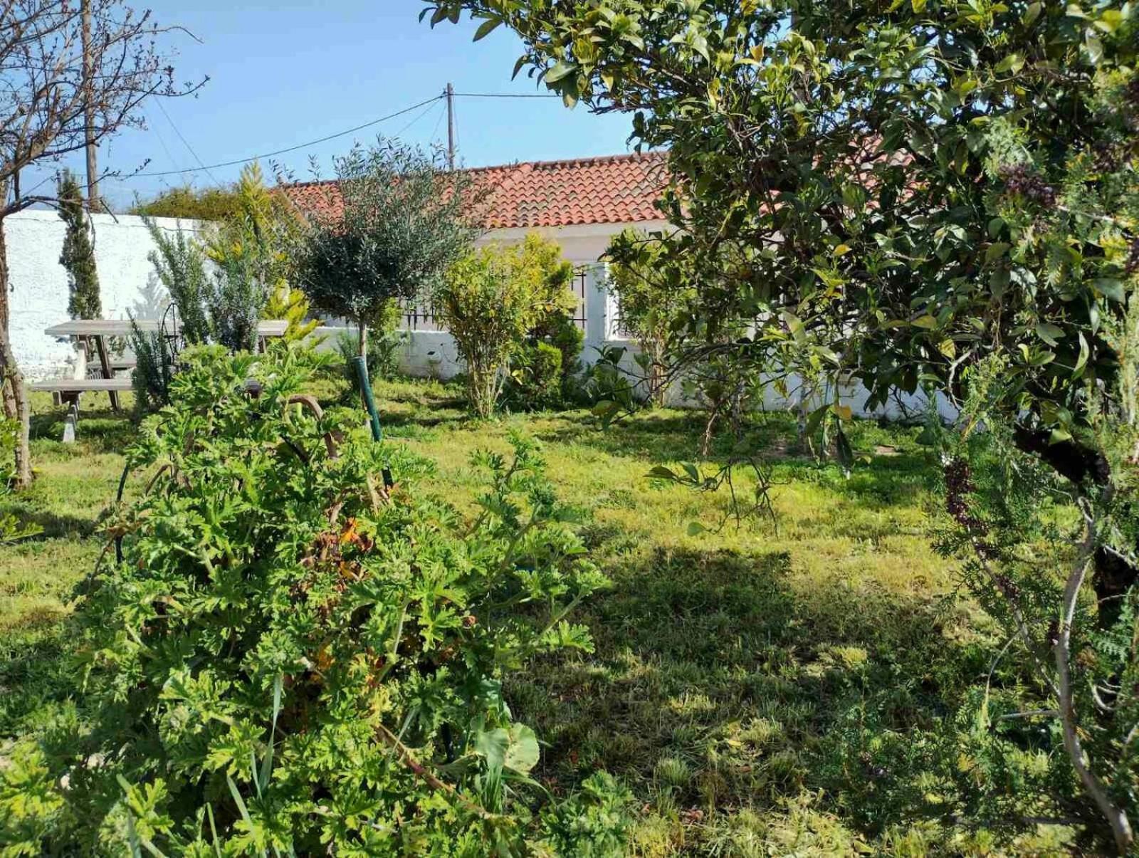 Nafplio Cottage-Grandma'S Yard Asíni Eksteriør billede